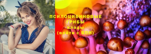 бутират Надым